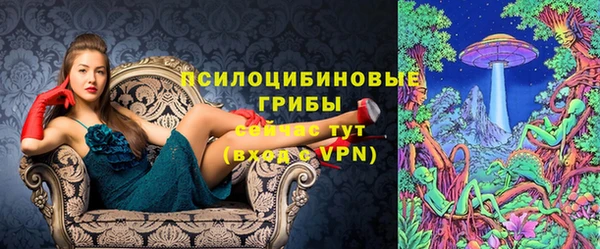 соль ск Вязьма