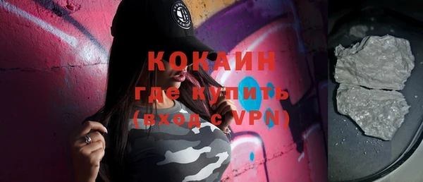apvp Вяземский