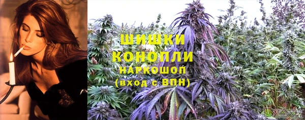 соль ск Вязьма