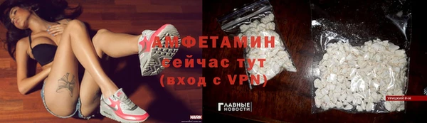apvp Вяземский