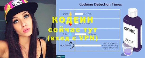 соль ск Вязьма