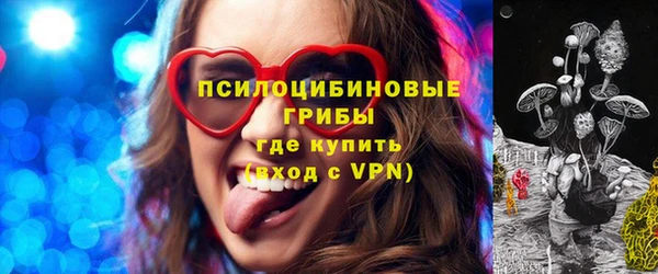 крисы Горно-Алтайск