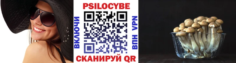 Галлюциногенные грибы Psilocybe  где купить   Заполярный 